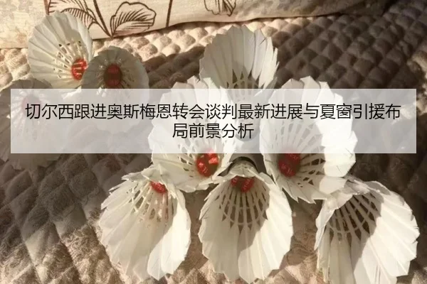 切尔西跟进奥斯梅恩转会谈判最新进展与夏窗引援布局前景分析
